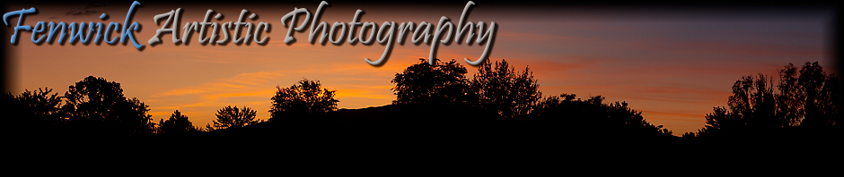 Aritistic Photography