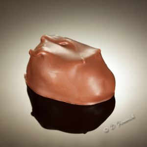 Chocolate3-square.jpg